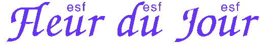 LOGO.GIF (39591 bytes)